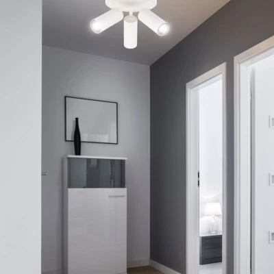 Stropní bodové kulaté svítidlo COLLY - 3xGU10, 15W, bílé
