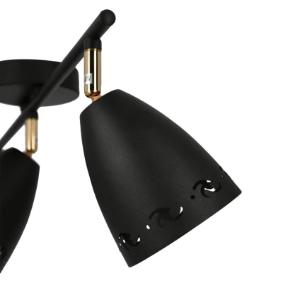 Moderní bodové stropní svítidlo COTY - 3xE14, 40W, černé