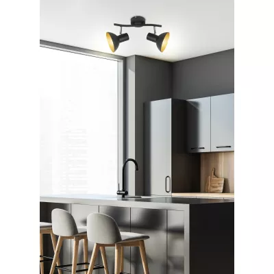 Bodové nástěnné / stropní osvětlení DISO - 2xE27, 40W, černé / zlaté