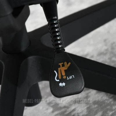 Kancelářská židle BERNADINA - černá