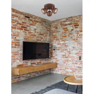 Stropní industriální bodové svítidlo FRODO - 3xGU10, 40W, kulaté, rezavé