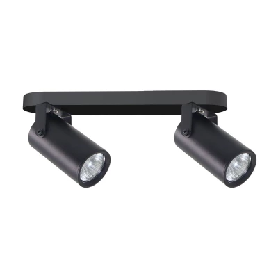 Nástěnné / stropní bodové svítidlo GARY - 2xGU10, 15W, černé