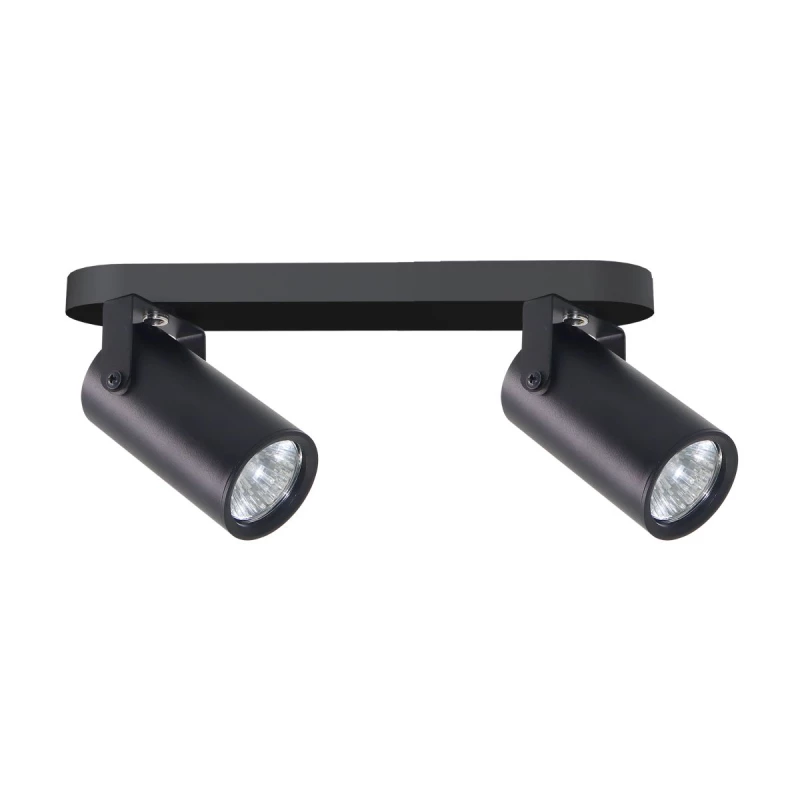 Nástěnné / stropní bodové svítidlo GARY - 2xGU10, 15W, černé