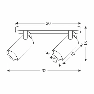 Nástěnné / stropní bodové svítidlo GARY - 2xGU10, 15W, černé