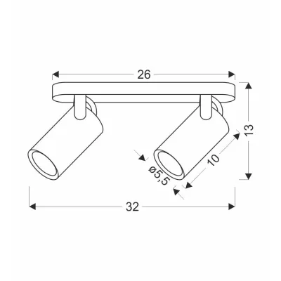 Nástěnné / stropní bodové svítidlo GARY - 2xGU10, 15W, černé