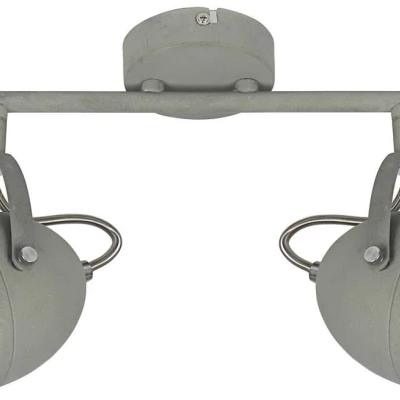 Nástěnné / stropní industriální bodové svítidlo PENT - 2xGU10, 50W, šedé