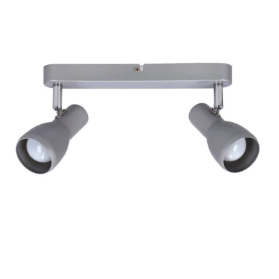 Bodové nástěnné / stropní svítidlo PICARDO - 2xE14, 40W, šedostříbrné