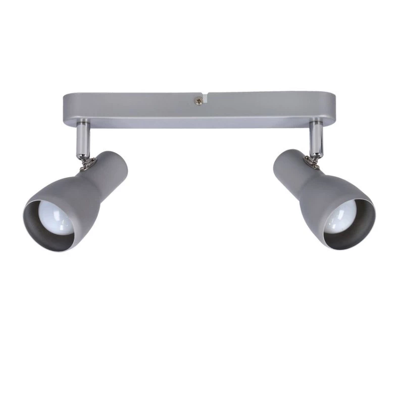 Bodové nástěnné / stropní svítidlo PICARDO - 2xE14, 40W, šedostříbrné