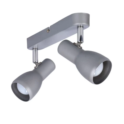 Bodové nástěnné / stropní svítidlo PICARDO - 2xE14, 40W, šedostříbrné