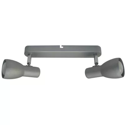 Bodové nástěnné / stropní svítidlo PICARDO - 2xE14, 40W, šedostříbrné