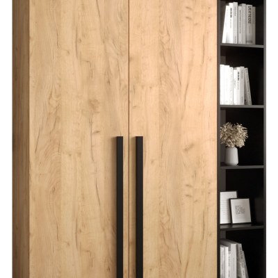 VÝPRODEJ - Skříně s regálem do předsíně HARRISON 2 - dub zlatý, černé