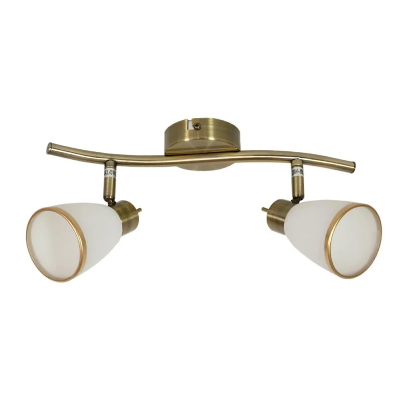 Stropní / nástěnné bodové svítidlo REGENT - 2xG9, 40W, patina / bílé