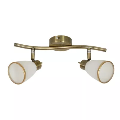 Stropní / nástěnné bodové svítidlo REGENT - 2xG9, 40W, patina / bílé