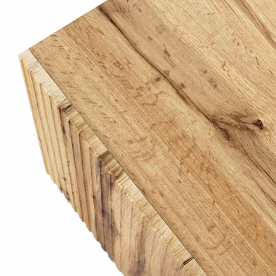 Stylový televizní stolek HAER 2 - dub wotan / černý