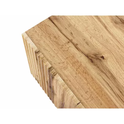 Stylový televizní stolek HAER 2 - dub wotan / černý