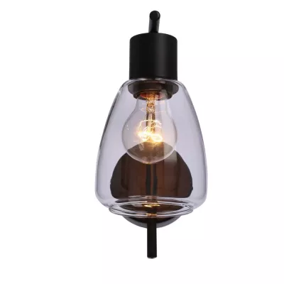 Nástěnná moderní lampa MOLDO - 1xE27, 40W, černá / čiré sklo