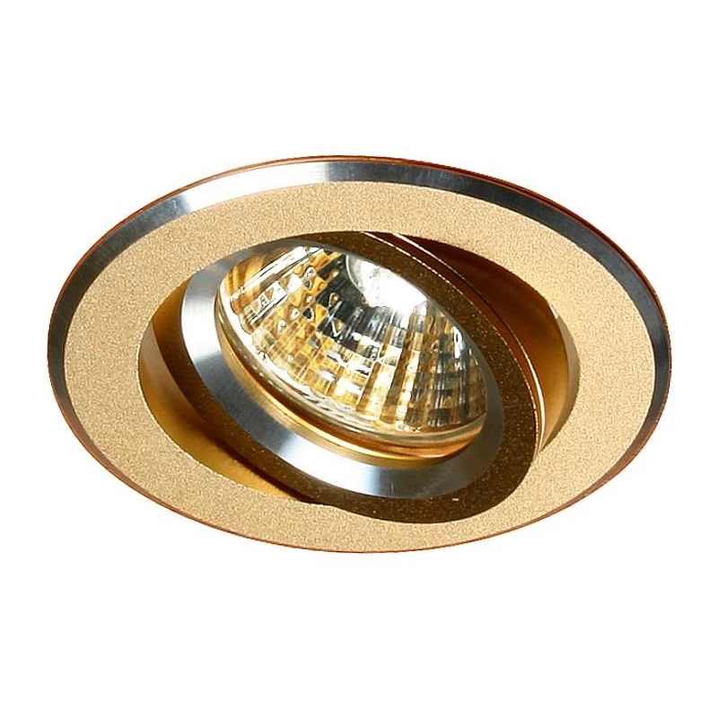 Zápustné stropní bodové světlo MINELIA - 1xGU5,3, MR16, 50W, 8,2cm, kulaté, zlaté