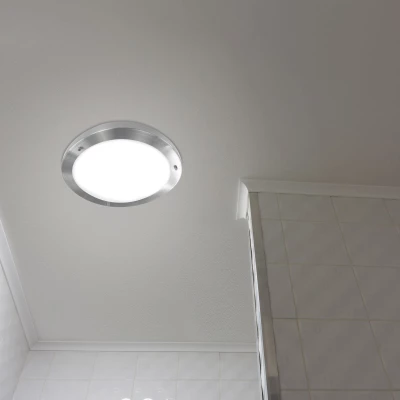 Koupelnové stropní / nástěnné svítidlo AQUILA - 1xE27, 60W, 31cm, kulaté, stříbrné / bílé