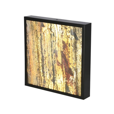 Stropní LED světlo LUXAN - 28W, 4000K (denní bílá), 29x29cm, černé / různobarevné 3