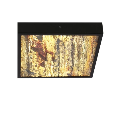 Stropní LED světlo LUXAN - 28W, 4000K (denní bílá), 29x29cm, černé / různobarevné 3