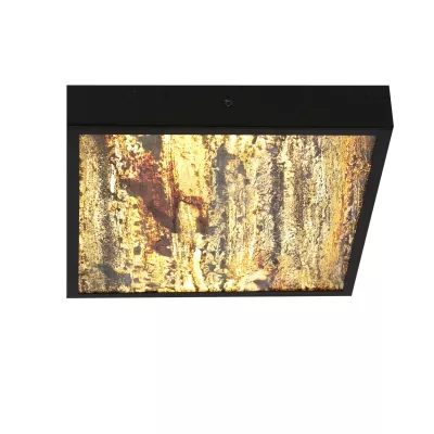 Stropní LED světlo LUXAN - 28W, 4000K (denní bílá), 29x29cm, černé / různobarevné 3