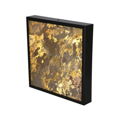 Stropní LED světlo LUXAN - 28W, 4000K (denní bílá), 29x29cm, černé / různobarevné 1