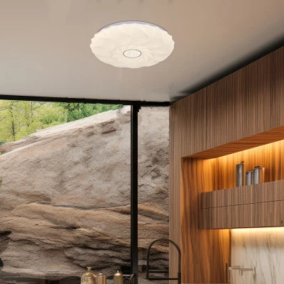 LED stropní osvětlení CAKE - 24W, 4000K (denní bílá), 39cm, kulaté, bílé