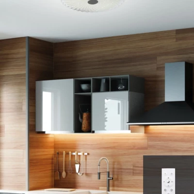 Stropní LED světlo CALIPSO - 24W, 2800K-6500K (teplá-studená bílá), 38,5cm, kulaté, bílé