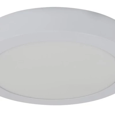 Kulatý LED panel ALBION - 18W, 4000K (denní bílá), 22cm, bílý