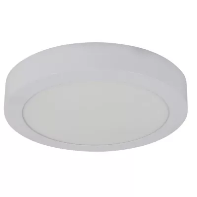 Kulatý LED panel ALBION - 12W, 4000K (denní bílá), 17cm, bílý