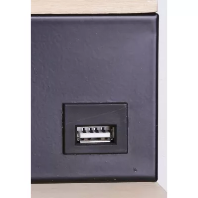 Nástěnné LED svítidlo s USB portem ANET - 2x4W, 4000K (denní bílá), hnědé / černé