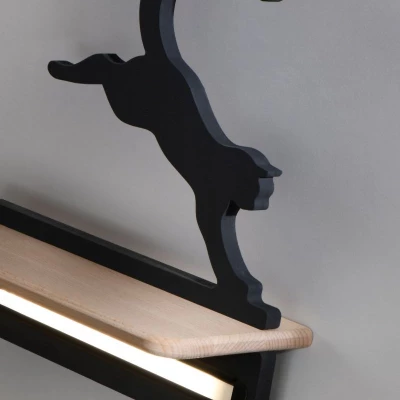 Dětské nástěnné LED světlo s poličkou CAT - 5W, 4000K (denní bílá), černé