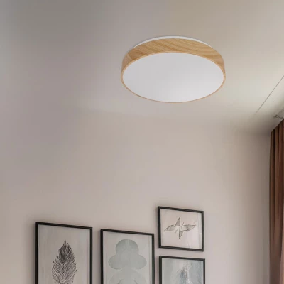 LED stropní světlo FIGARO - 24W, 3000-6000K (teplá-studená bílá), hnědé / bílé