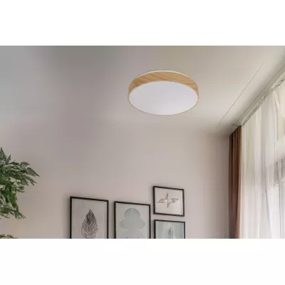 LED stropní světlo FIGARO - 24W, 3000-6000K (teplá-studená bílá), hnědé / bílé