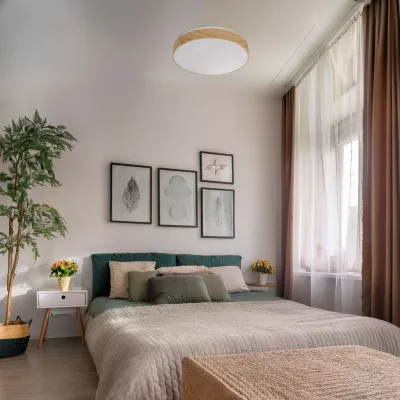 LED stropní světlo FIGARO - 24W, 3000-6000K (teplá-studená bílá), hnědé / bílé