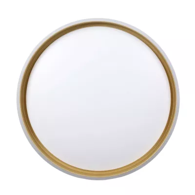 LED stropní osvětlení FLORIDA - 24W, 4000K (denní bílá), 38cm, černé / bílé / zlaté