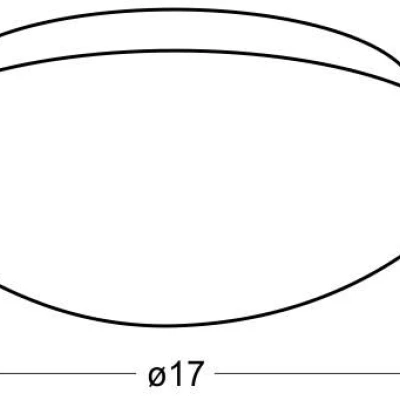 Stropní přisazené osvětlení NINA - 1xE27, 60W, 17cm, bílé