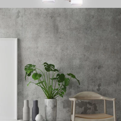 Moderní stropní osvětlení SAX - 2xE14, 40W, stříbrné