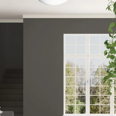 LED stropní svítidlo s efektem noční oblohy SKY EFECT - 16W, 4000K (neutrální bílá), 51cm, bílé