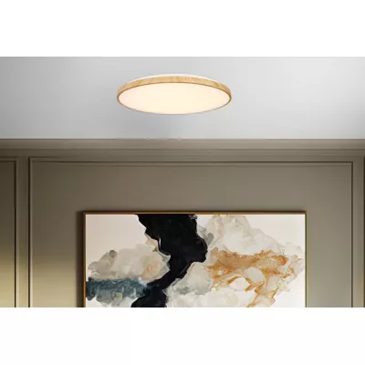 LED stropní světlo TENS - 48W, 3000-6000K (teplá-studená bílá), hnědé / bílé