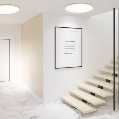 LED stropní světlo TENS - 48W, 3000-6000K (teplá-studená bílá), hnědé / bílé