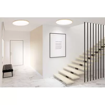 LED stropní světlo TENS - 48W, 3000-6000K (teplá-studená bílá), hnědé / bílé