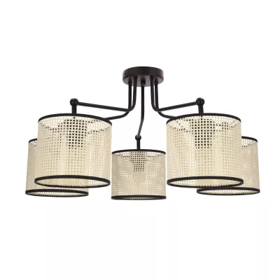 Stropní moderní osvětlení TOPI - 5xE27, 40W, černá / krémová