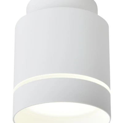 LED stropní moderní osvětlení TUBA - 12W, 4000K (neutrální bílá), 10,5x7,9cm, kulaté, bílé