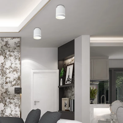 LED stropní moderní osvětlení TUBA - 12W, 4000K (neutrální bílá), 10,5x7,9cm, kulaté, bílé