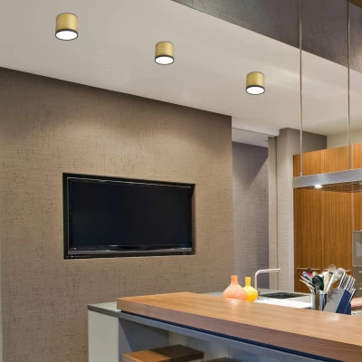 LED stropní světlo TUBA - 9W, 4000K (neutrální bílá), 7,5x8,8cm, kulaté, zlaté / černé