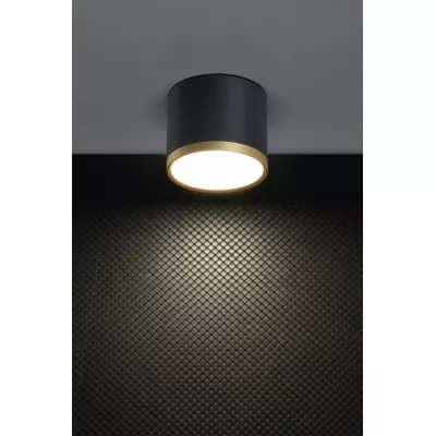 LED stropní světlo TUBA - 9W, 4000K (neutrální bílá), 7,5x8,8cm, kulaté, černé / zlaté