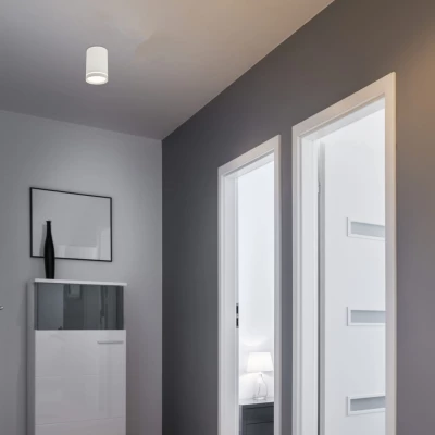 Stropní osvětlení TUBA - 1xGU10, 15W, 6,8x10cm, kulaté, bílé