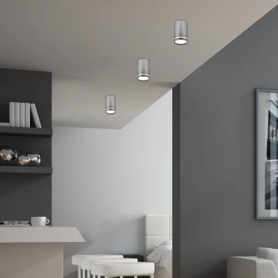 Stropní osvětlení TUBA - 1xGU10, 15W, 6,8x10cm, kulaté, matné stříbrné