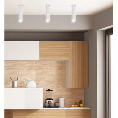 Stropní moderní osvětlení TUBA - 1xGU10, 25W, 6,3x25cm, kulaté, bílé